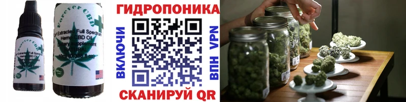 Canna-Cookies марихуана Кувандык