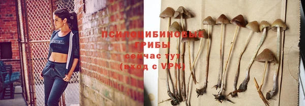 спайс Осташков