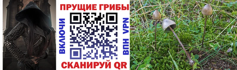 Галлюциногенные грибы ЛСД  купить  сайты  Кувандык 