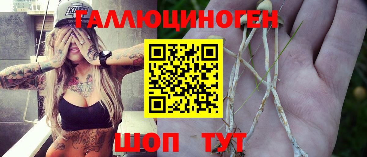 Галлюциногенные грибы Psilocybe  Кувандык 