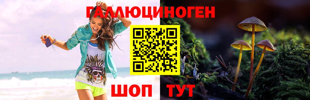 Кувандык  Псилоцибиновые грибы мицелий  Вход с VPN  Псилоцибиновые грибы ЛСД 